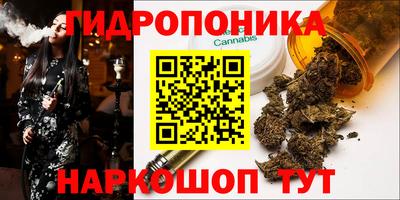 хмурый Малгобек