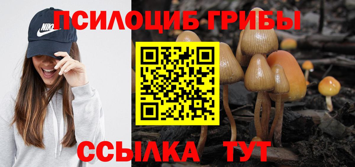 Галлюциногенные грибы мухоморы  Вход с VPN  Старая Купавна 